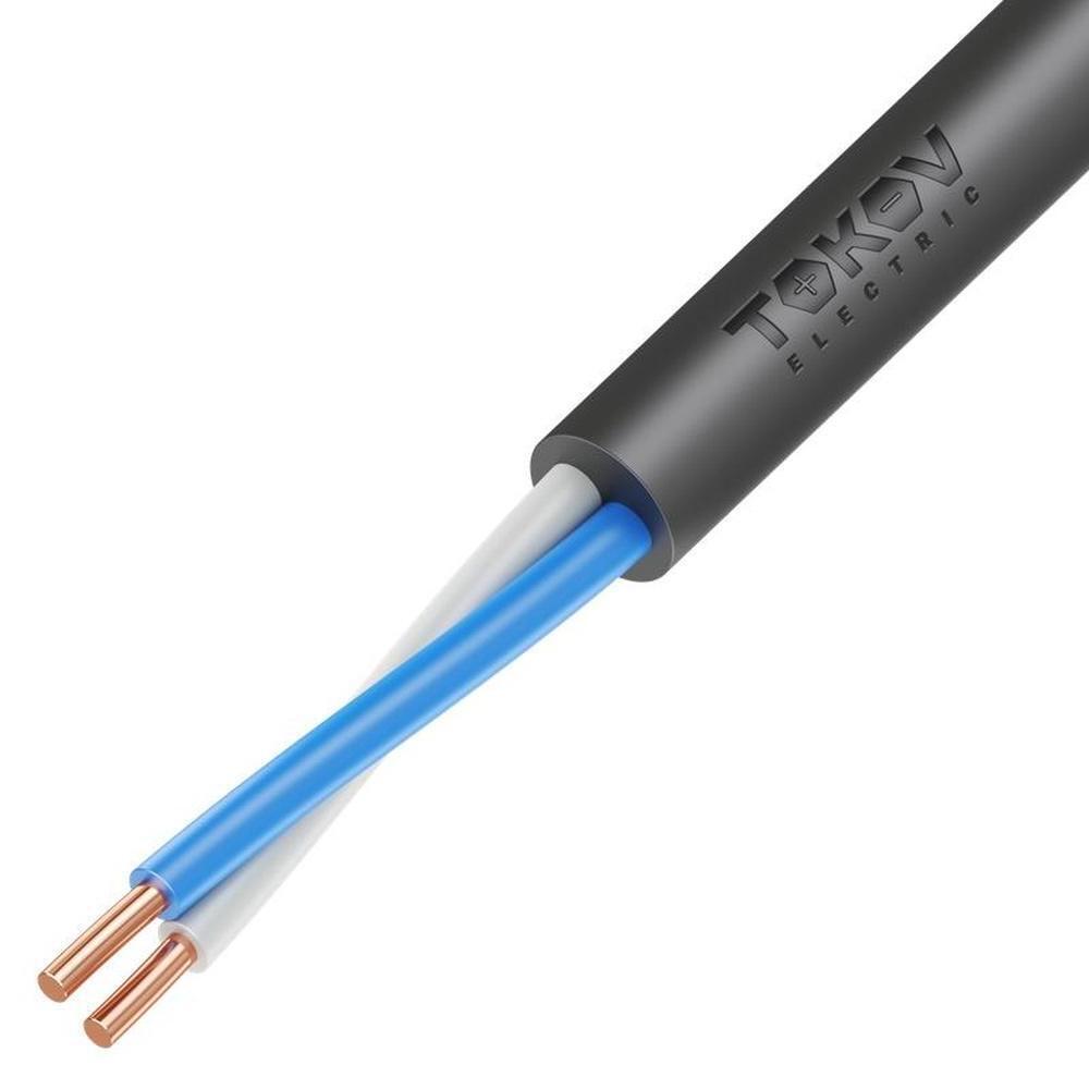 ВВГнг 2*2,5 TOKOV electric 100м